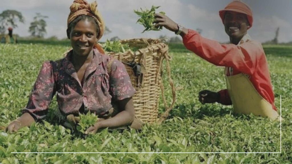 Agricultural business in nigeria