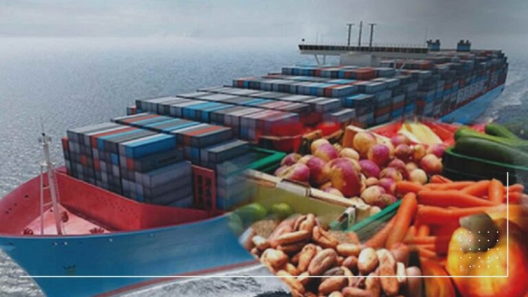 export business